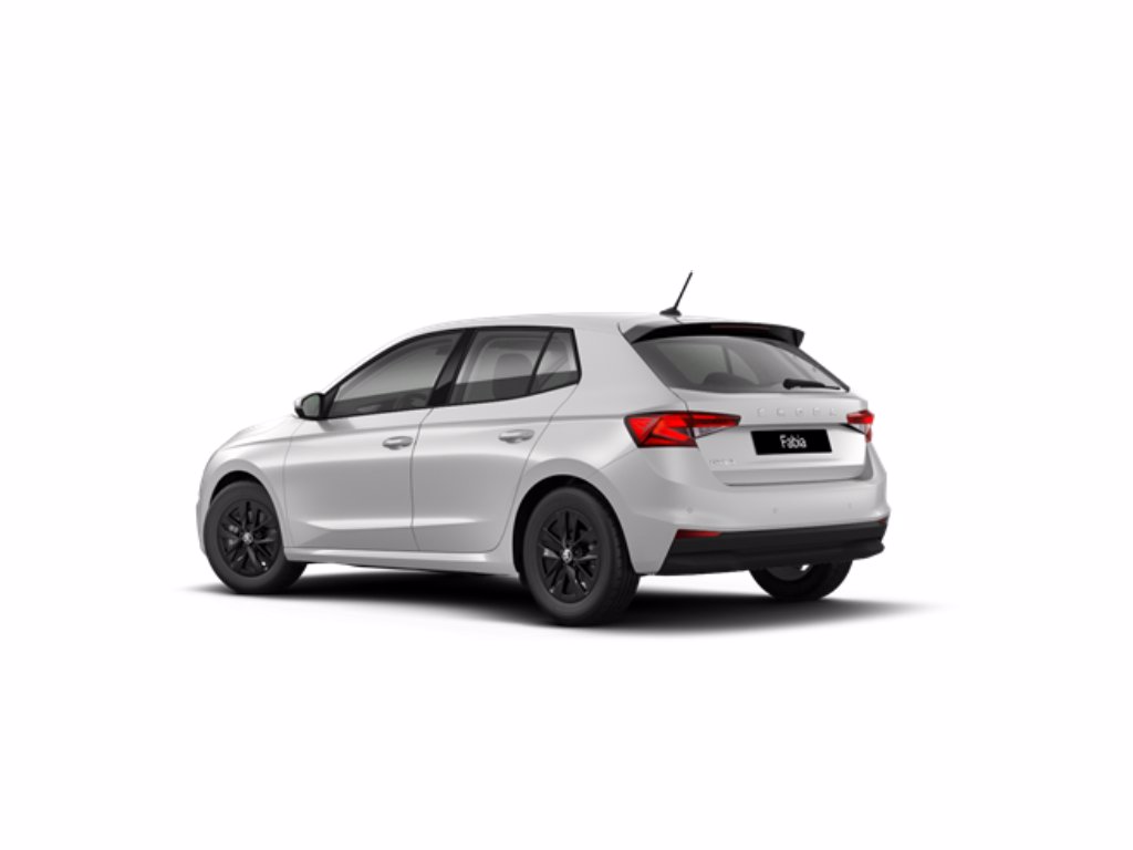 SKODA Fabia 1.0 TSI EVO 95 CV Young Edition