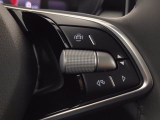 SKODA Fabia 1.0 tsi young edition 95cv