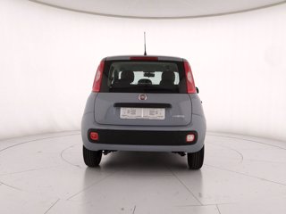 FIAT Panda 1.0 firefly hybrid s&s 70cv
